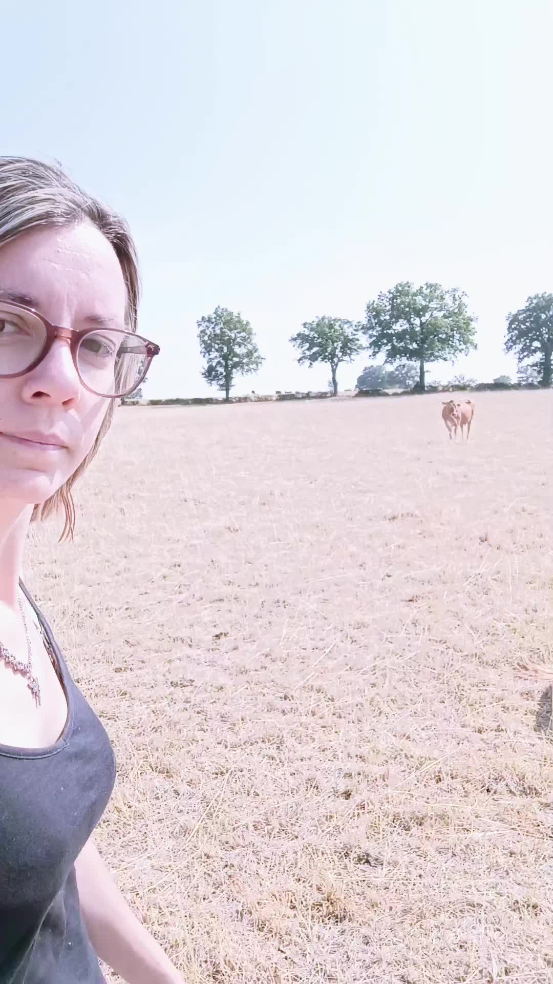 @Ludivine 🪶🐶🐮