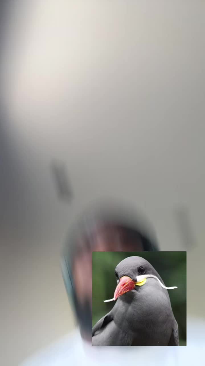 @iAm Zac