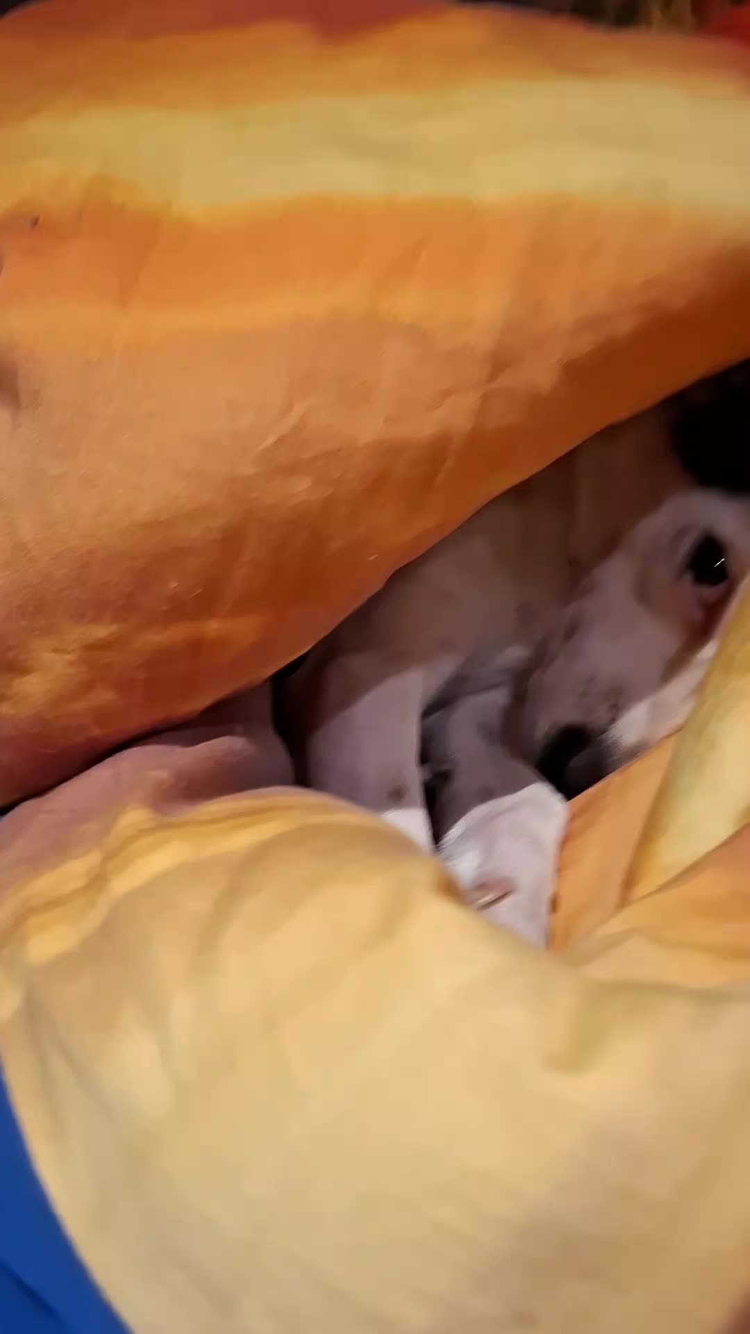 @Maya'sAbenteuer_HexeErinnerung