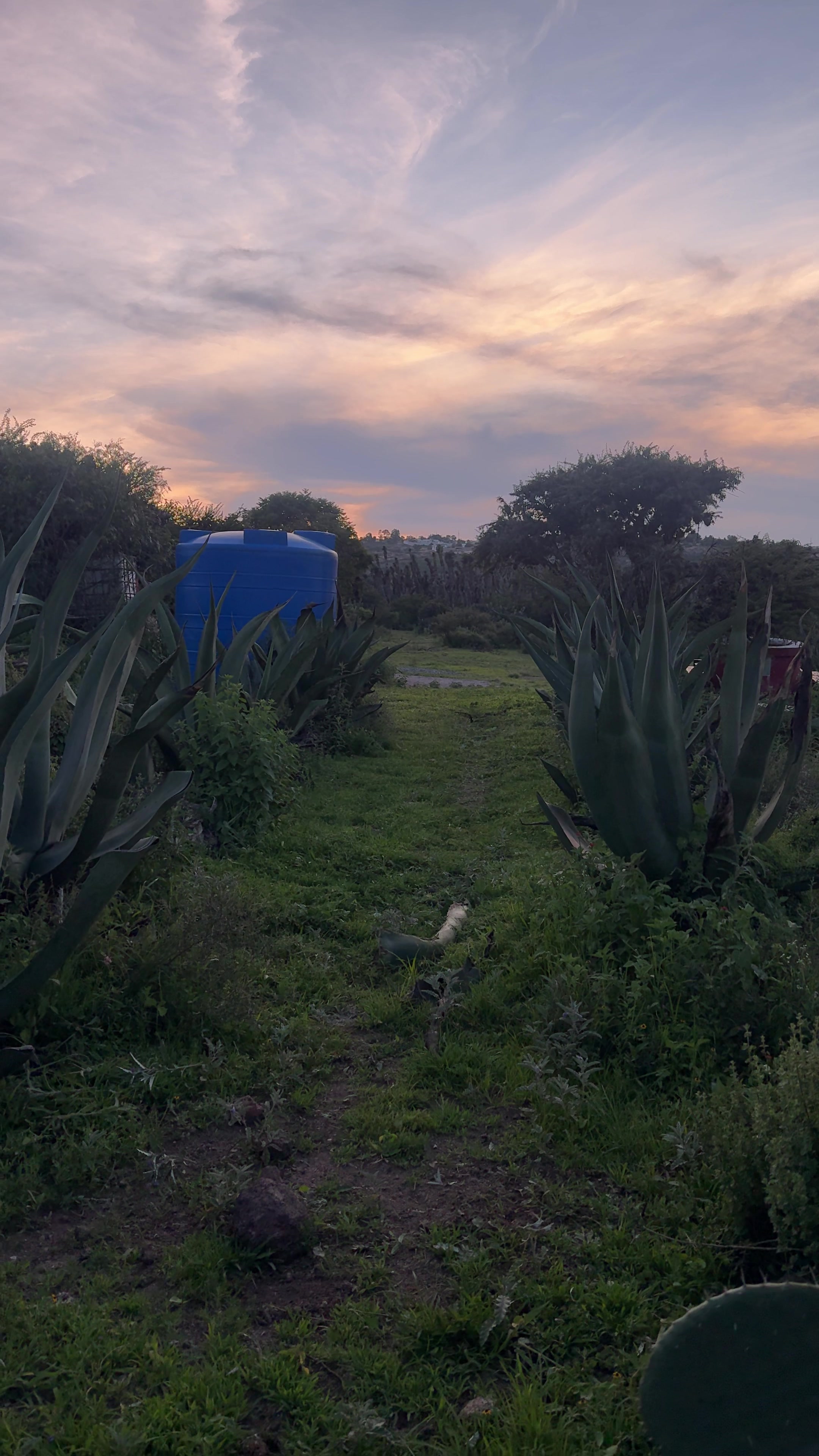@Dario Olvera Ranch
