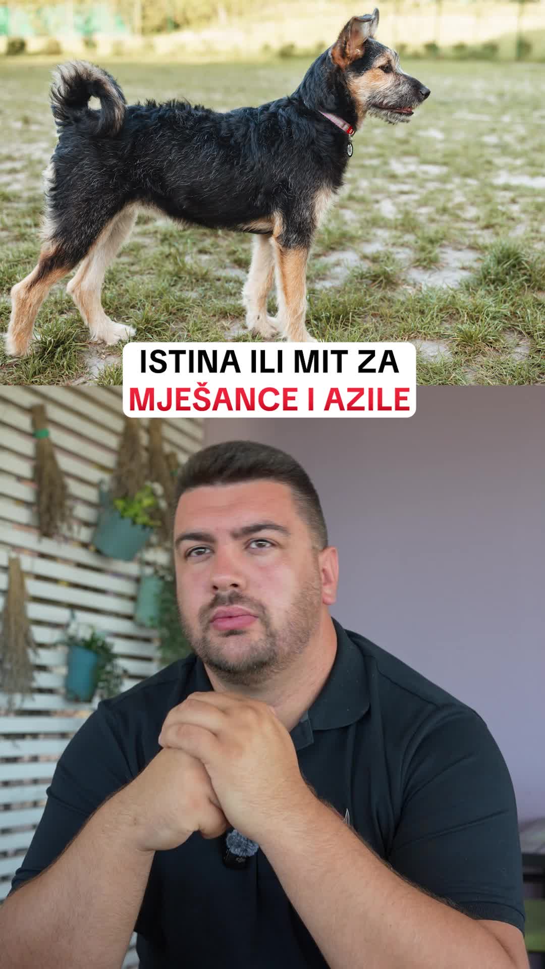 @superdog.akademija