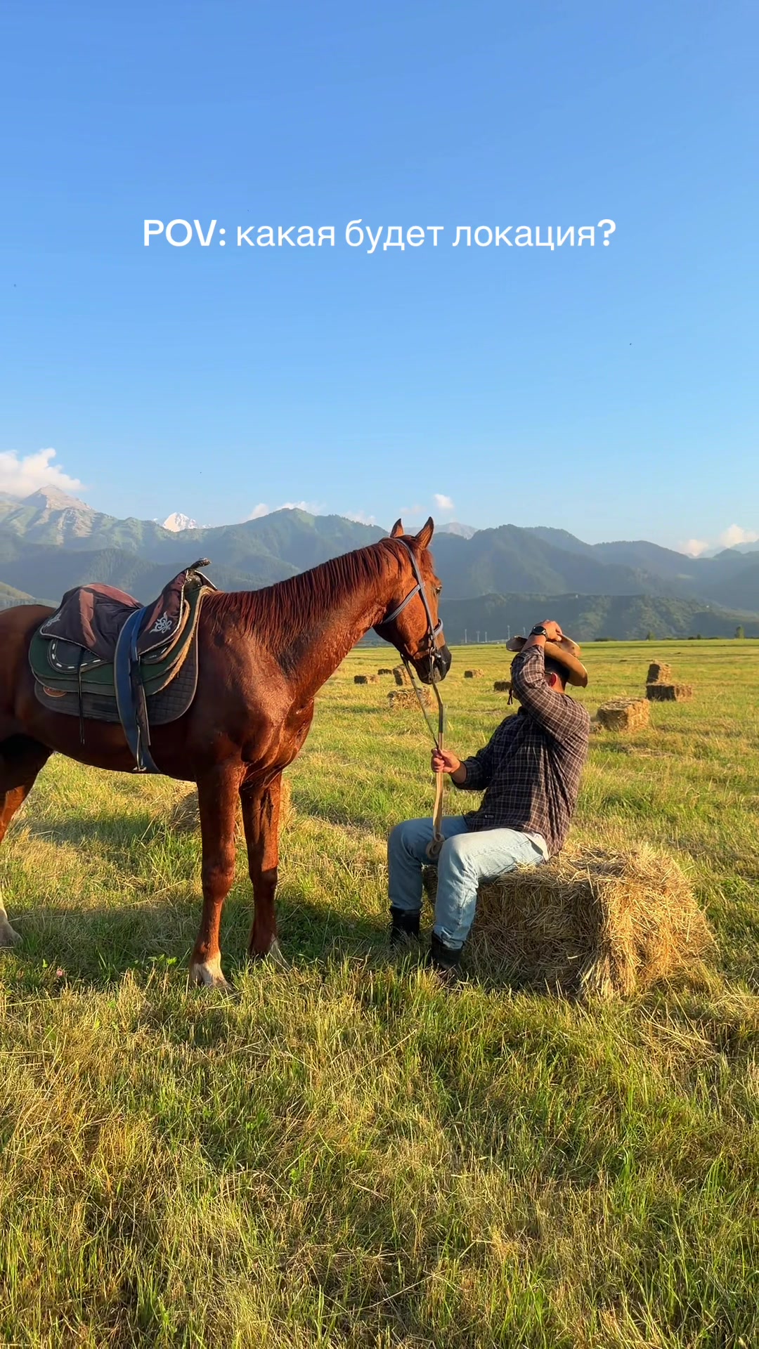 @tulpar_horses