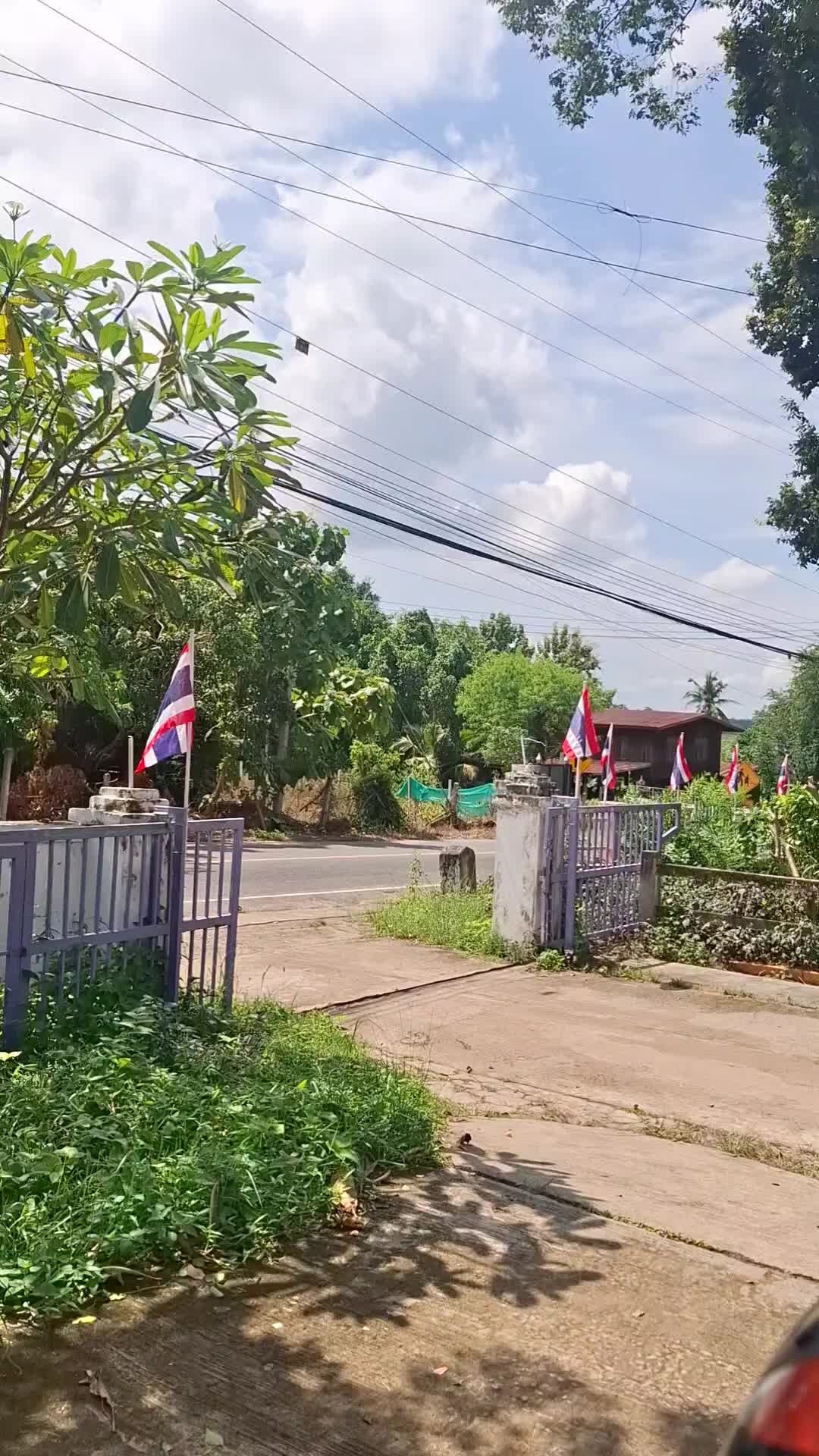 @ครูปลา