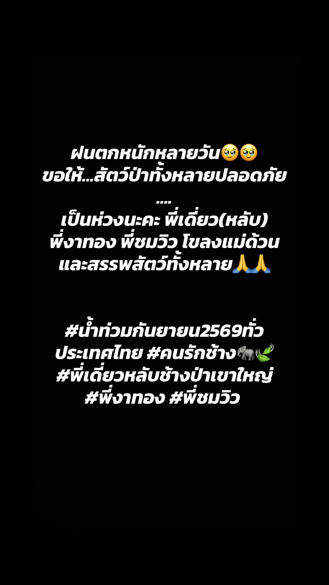 @🪭💰Fairy_Rainy🍃🫧❤️2M❤️