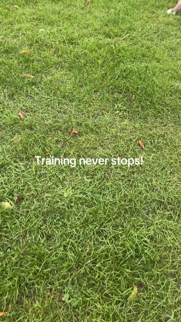@jazlynchbolton 🇮🇪