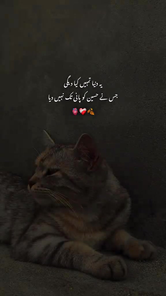 @★彡[ᴀᴇꜱᴛʜᴇᴛɪᴄ ɢɪʀʟ]彡★