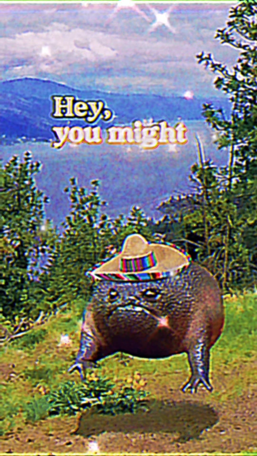 @Holy Frog Father