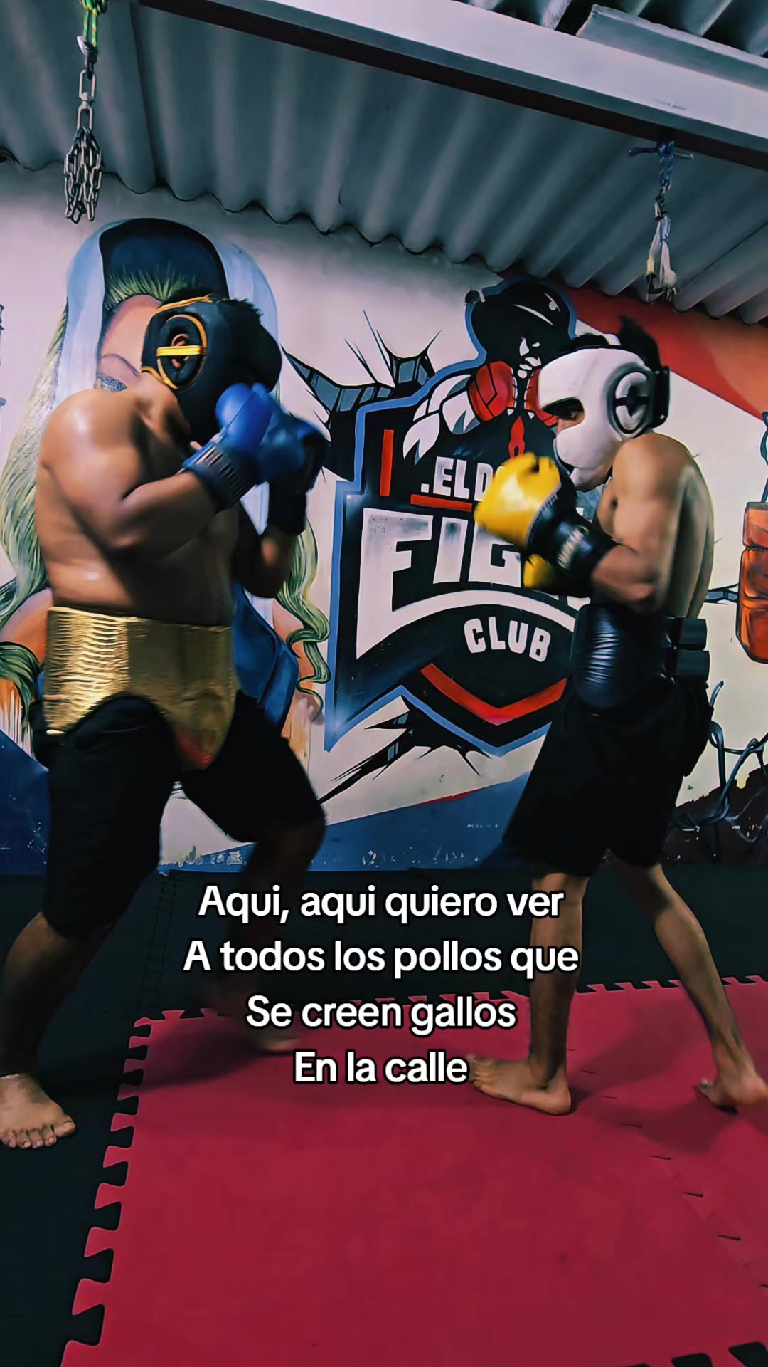 @EL DON K.O.🥊