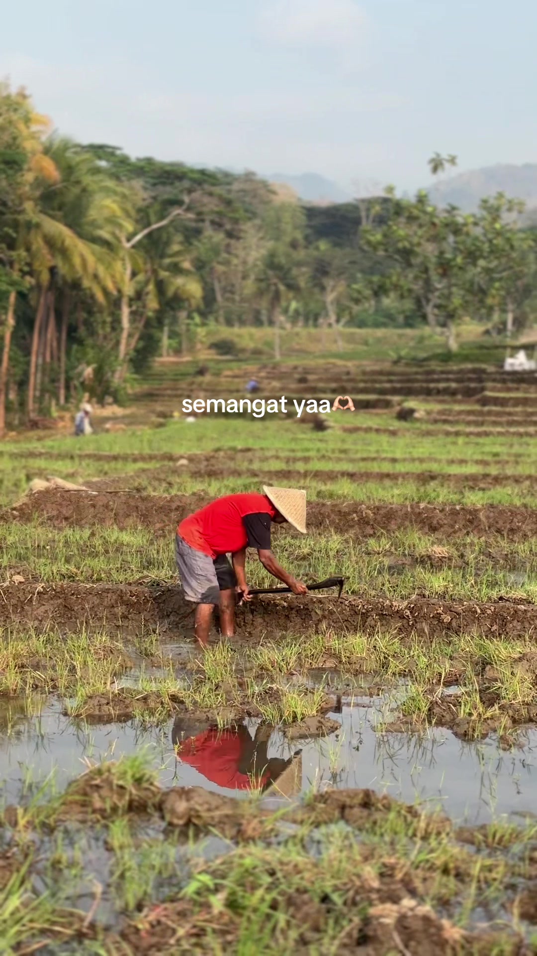 @yann