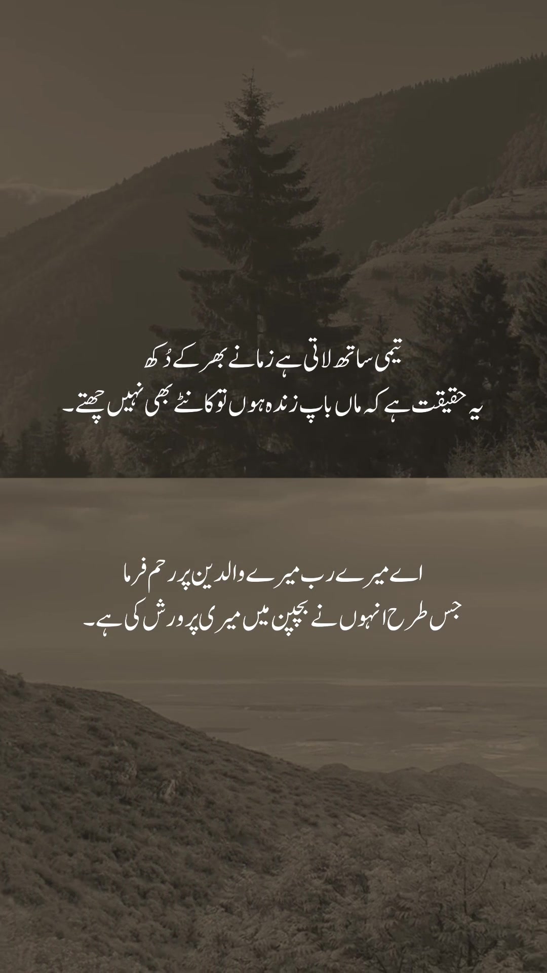 @𓆩شیراز𓆪