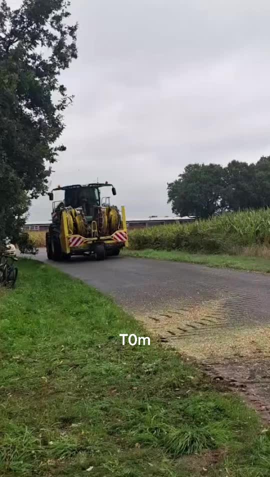 @t0m