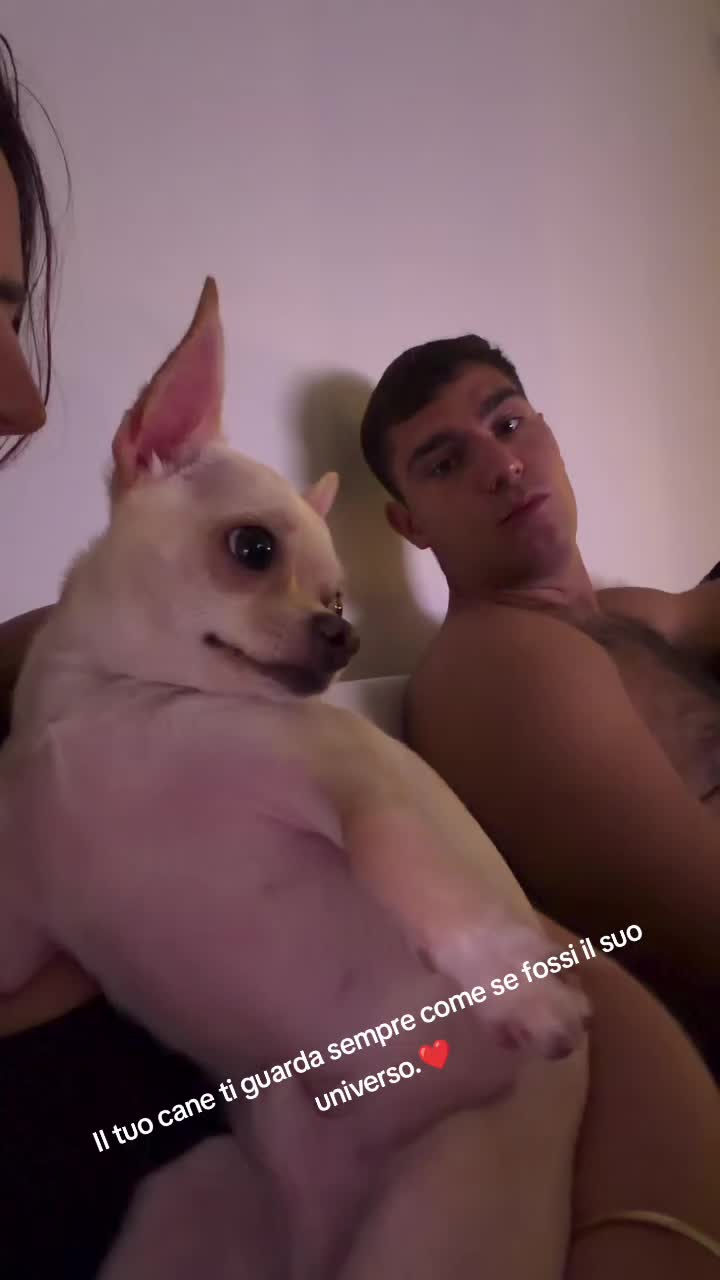 @cuore.animale