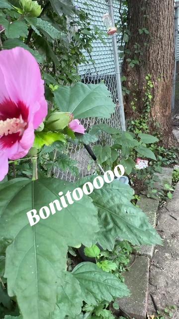 @🦋DannaRguez🐢🦬🧸🐣🍄🕹️🪷