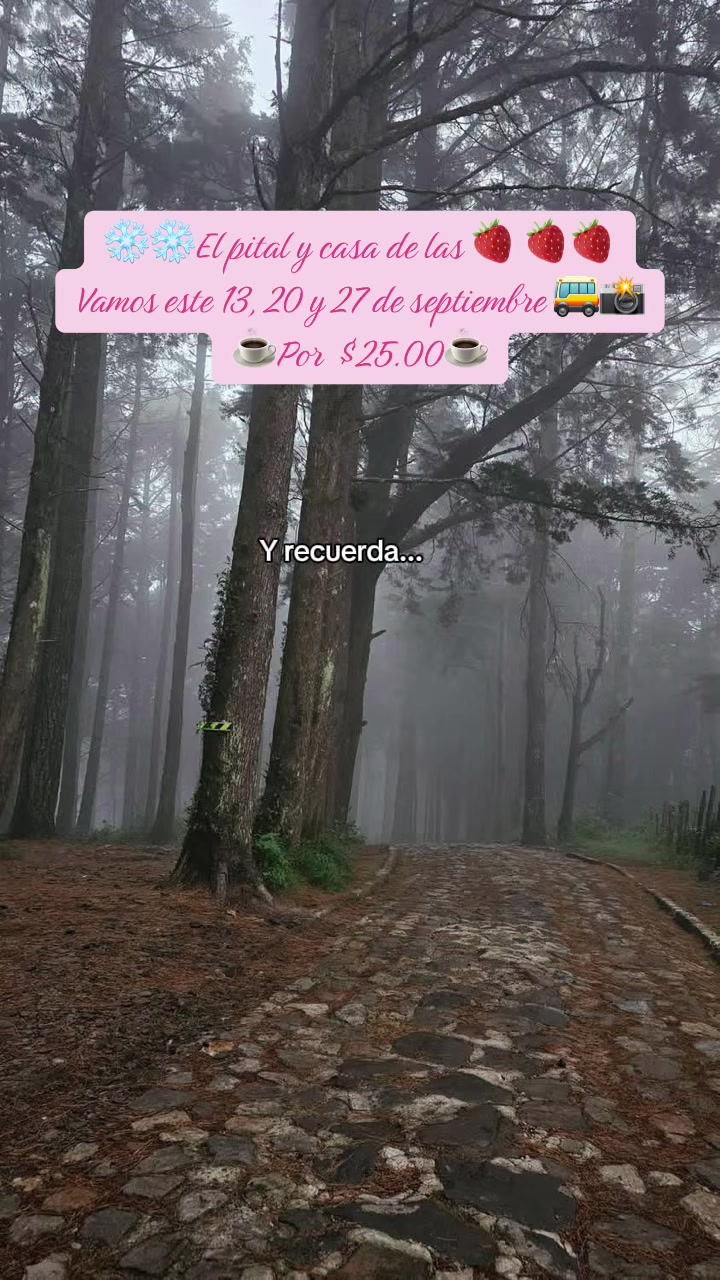 @Rosy Sandoval