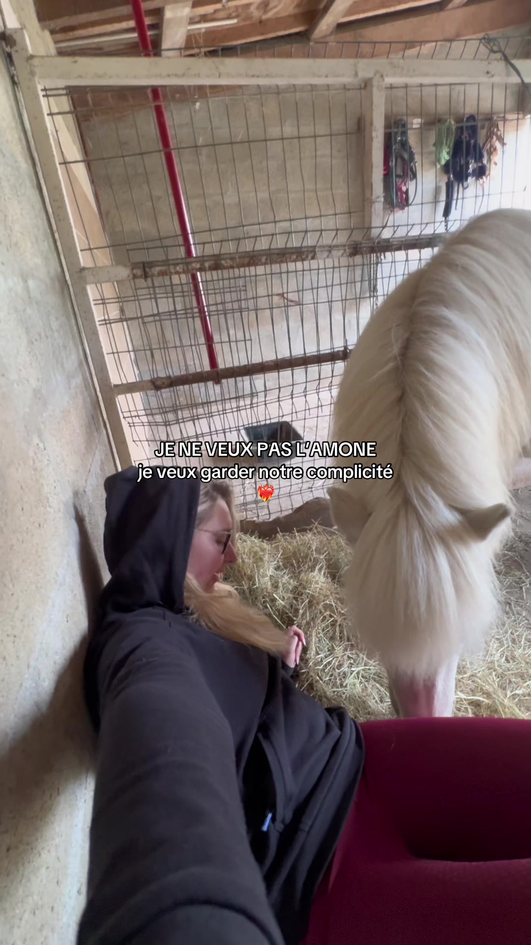 @benjyylepetitponey