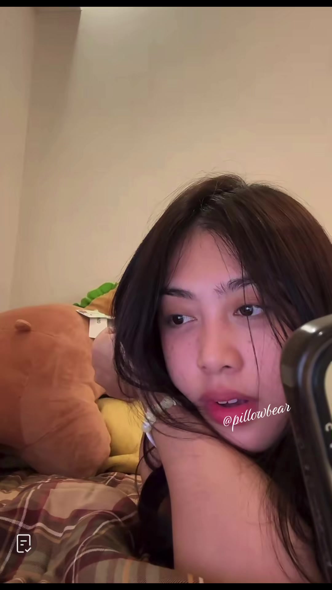 @pillowbear ๐๐๐ฐ๐ฏ