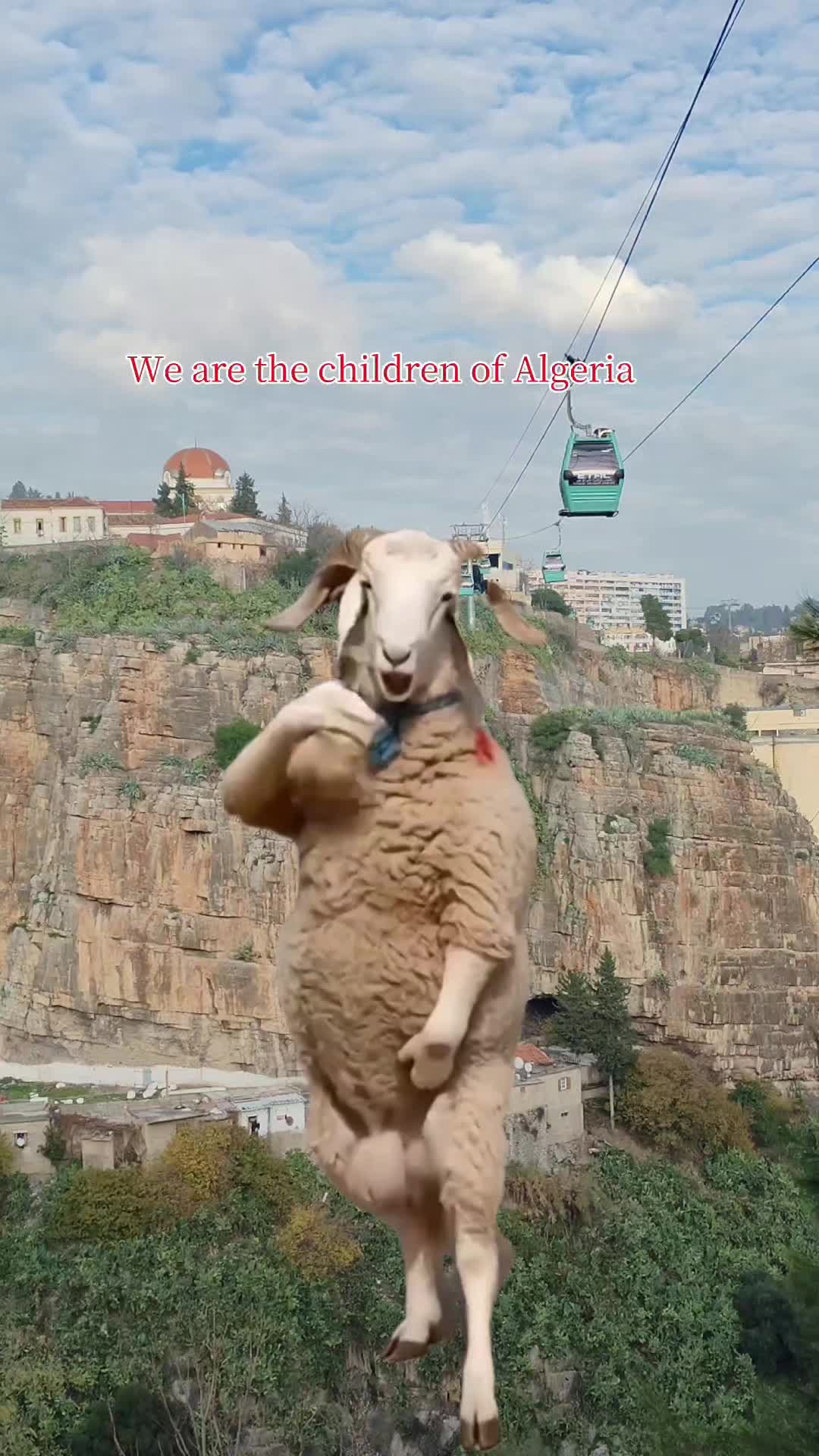 @WATCH AND ENJOY