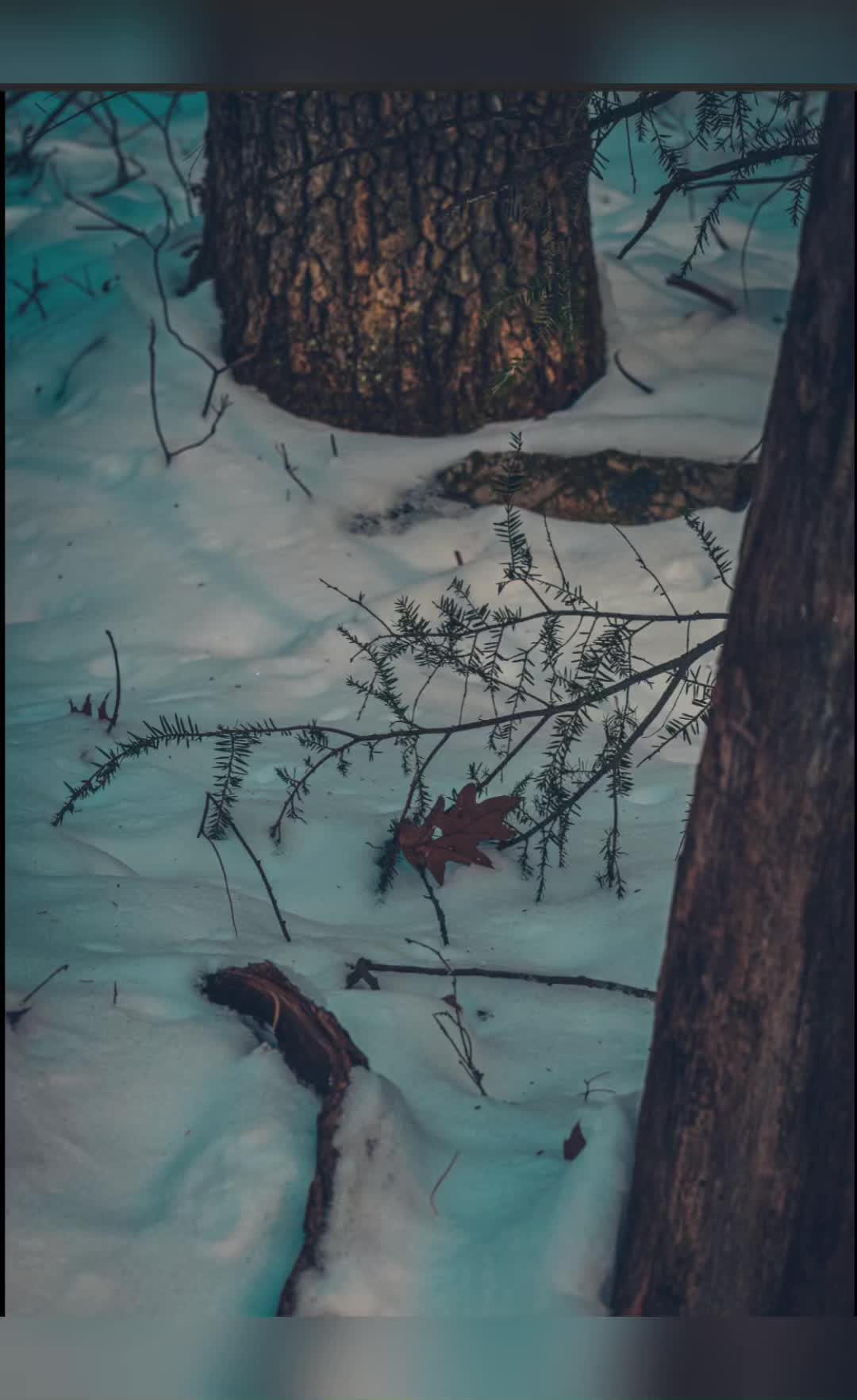 @Wunderful_Outdoors