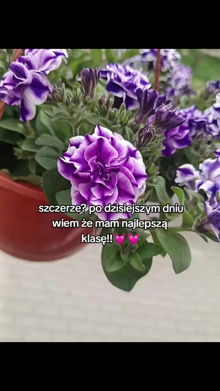 @🎰