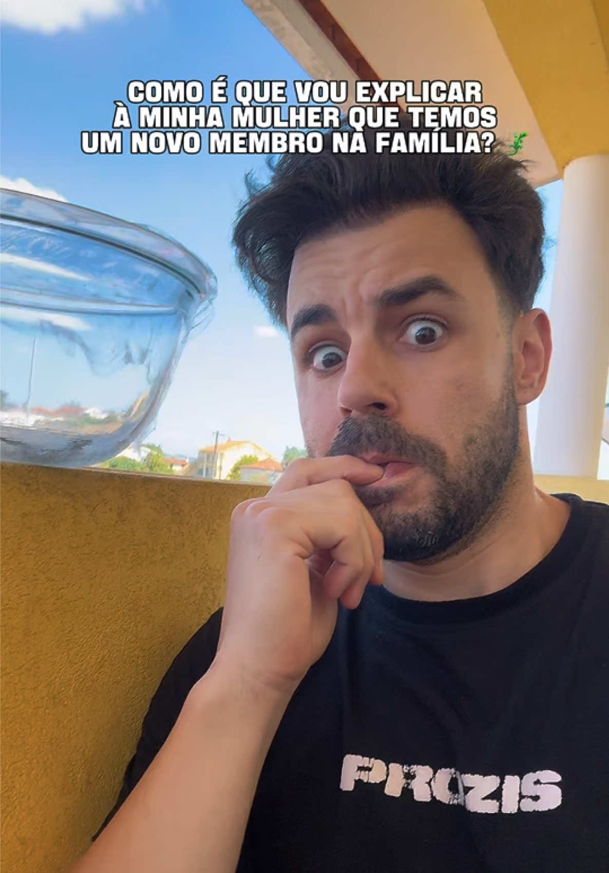@Renato Calvão