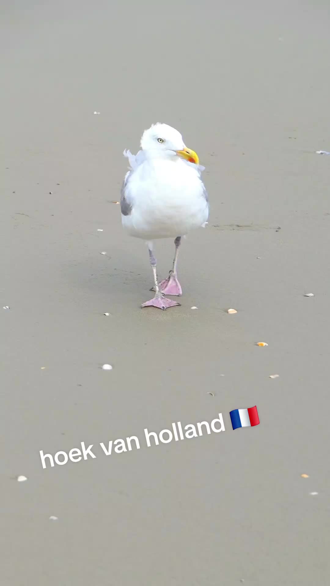 @annemaria