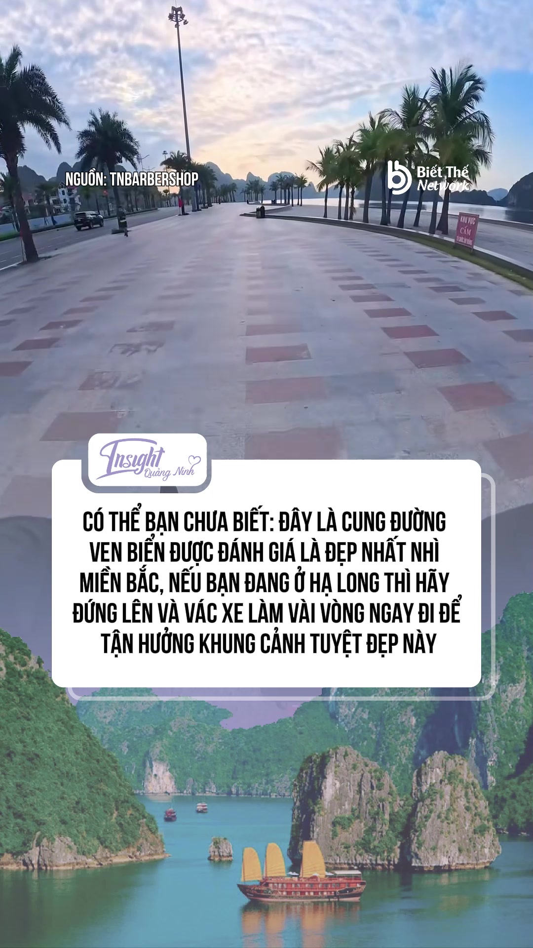 @Insight Quảng Ninh