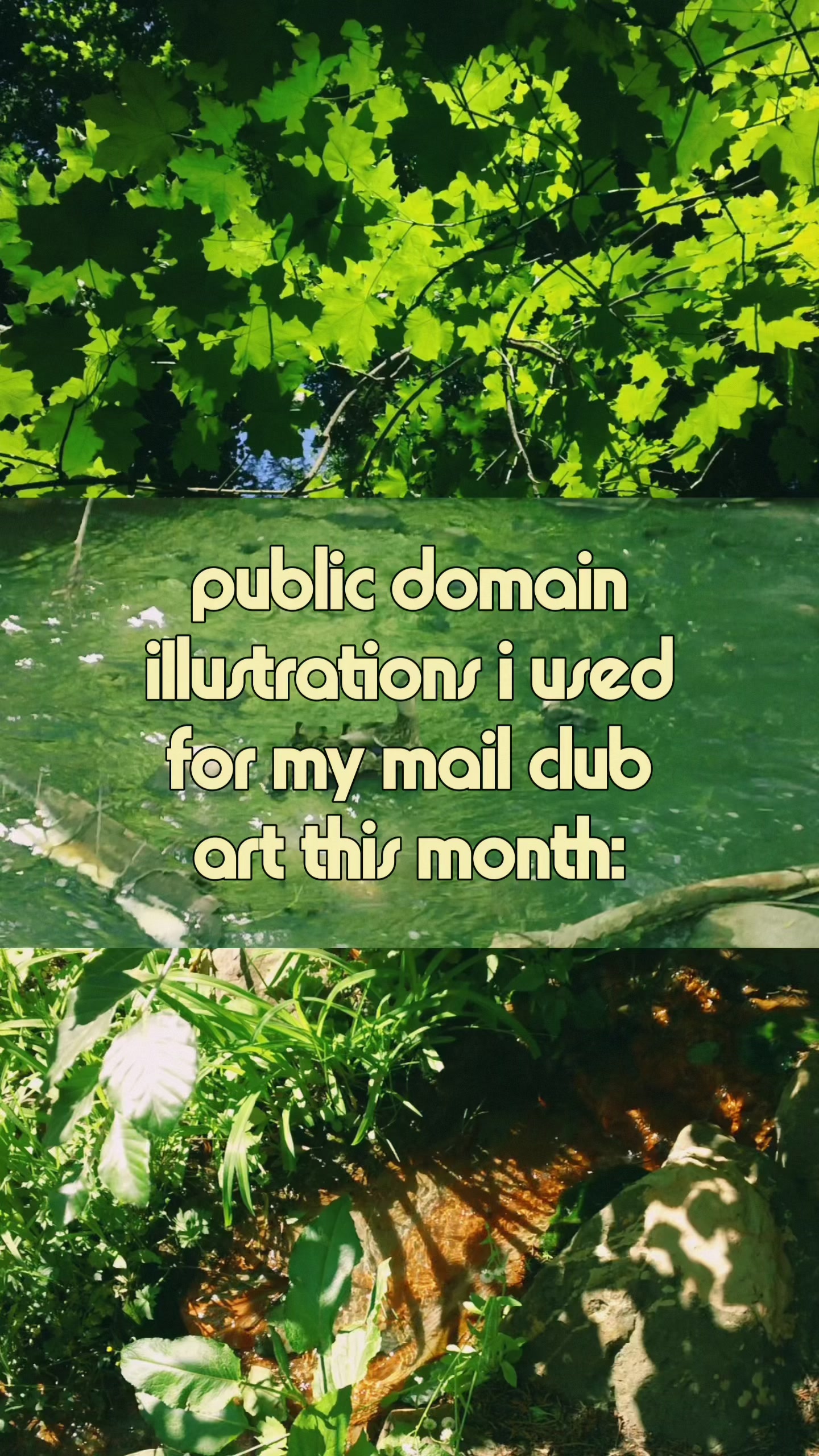 @paulina | delicate type