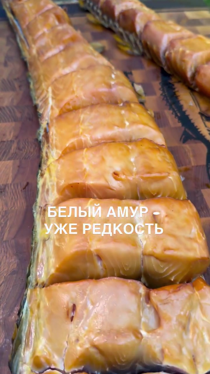 @Рыбец 64