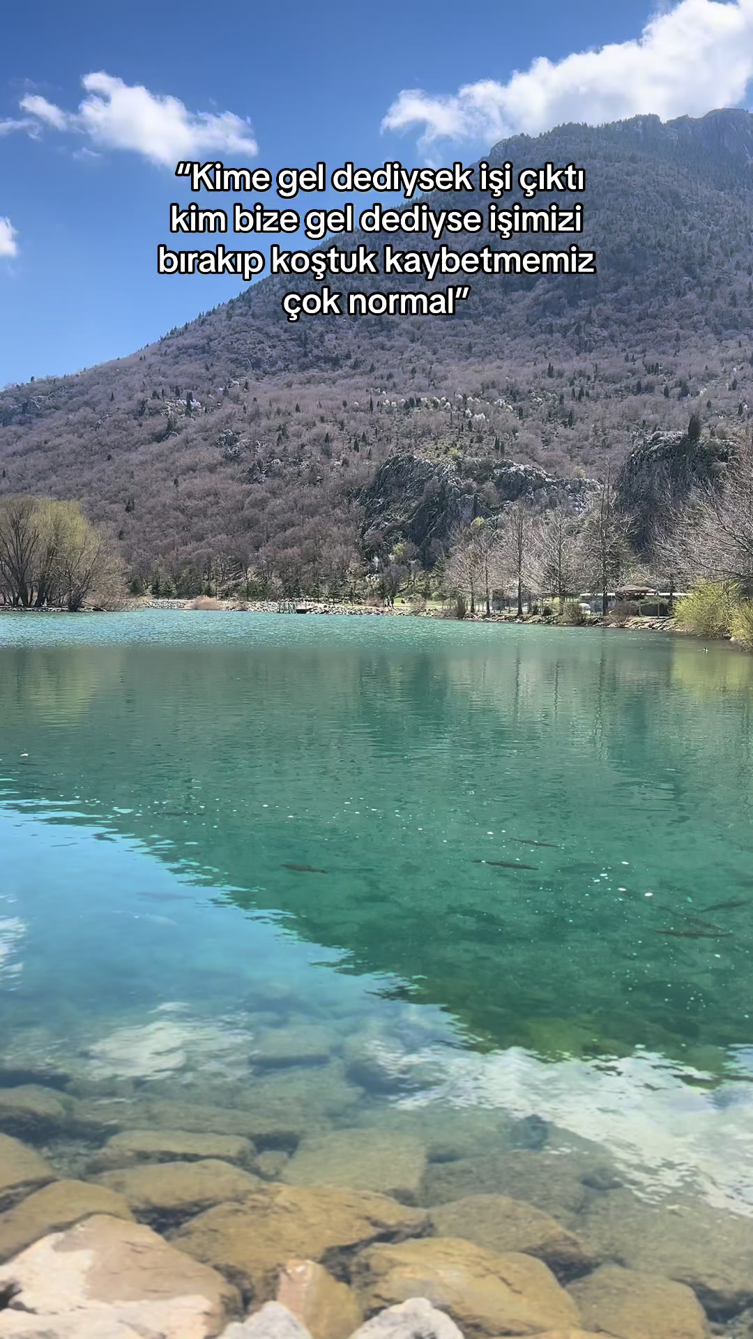 @özkan çınar