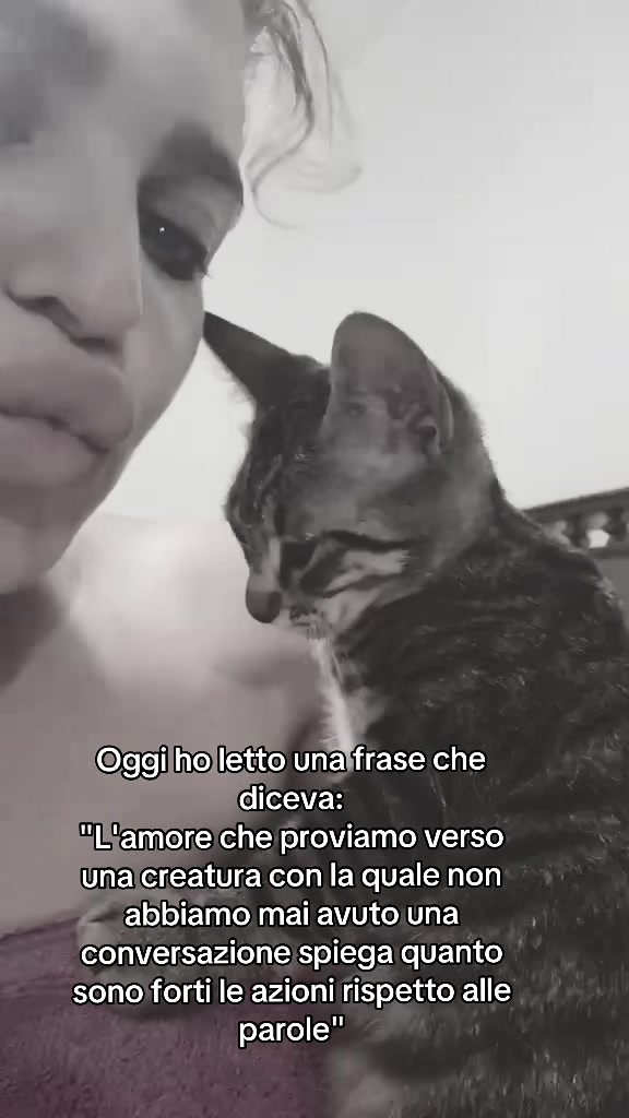 @SaraIacobino02