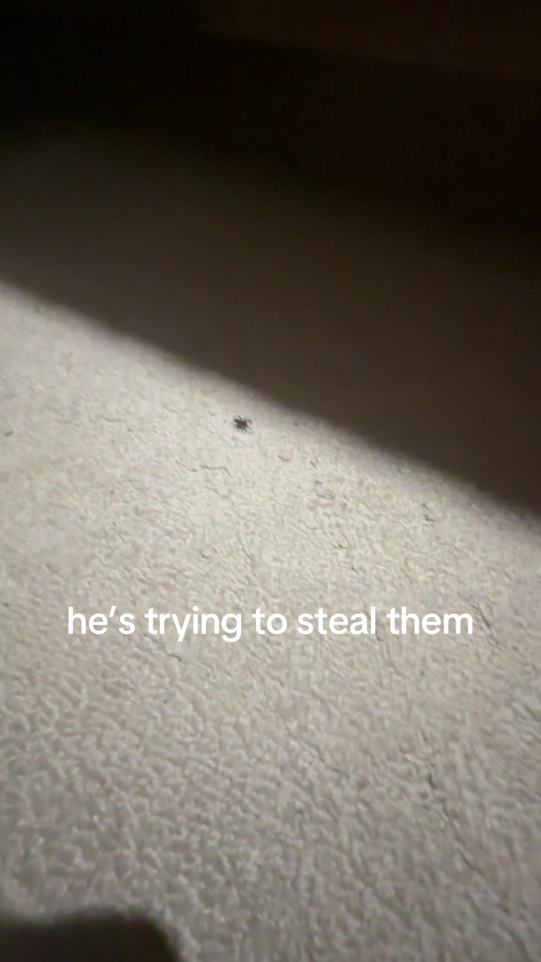 @ryan