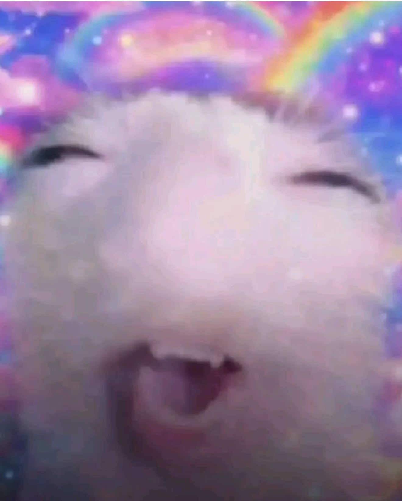 @HL
