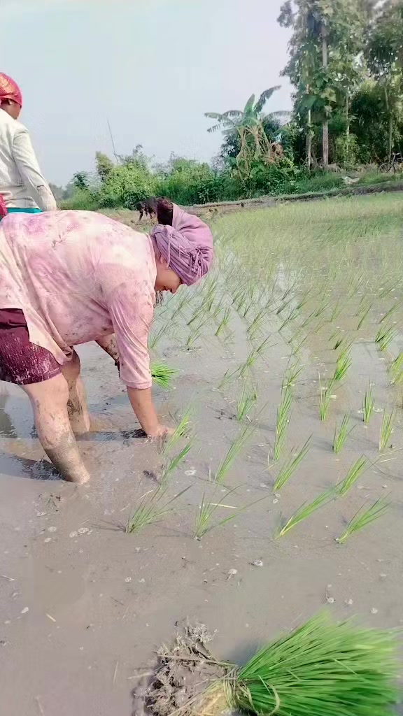 @Swostika.t.khadka