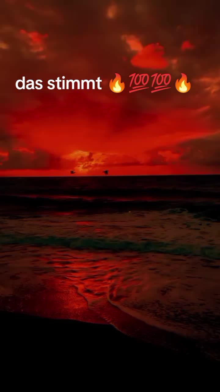 @Elena L885