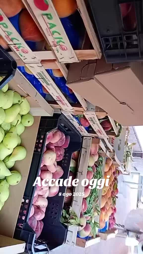 @Paolosavanelli0