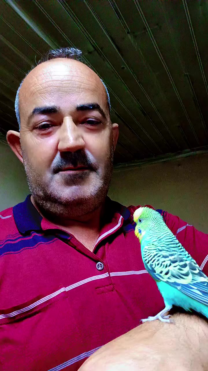 @CENK AYRAK