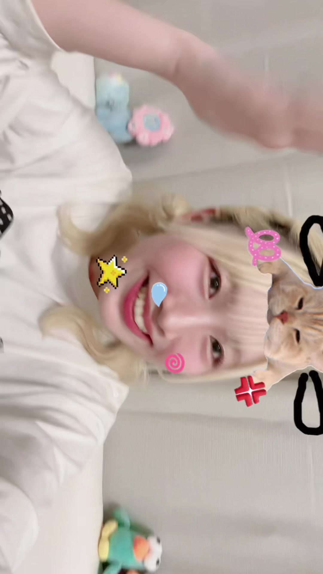 @ﾀｲﾗ&ensp;ﾋﾅﾉ