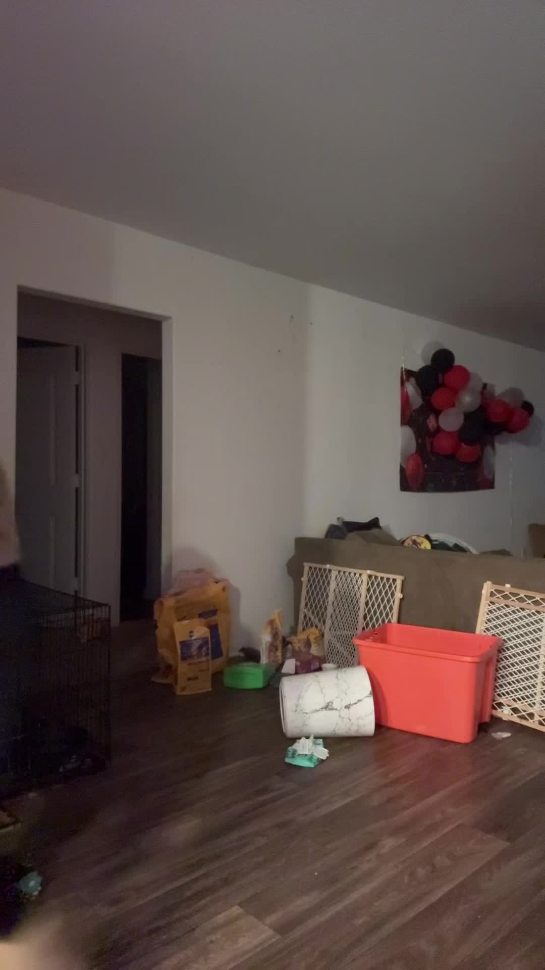 @¿ᴛᴏɴɪ?