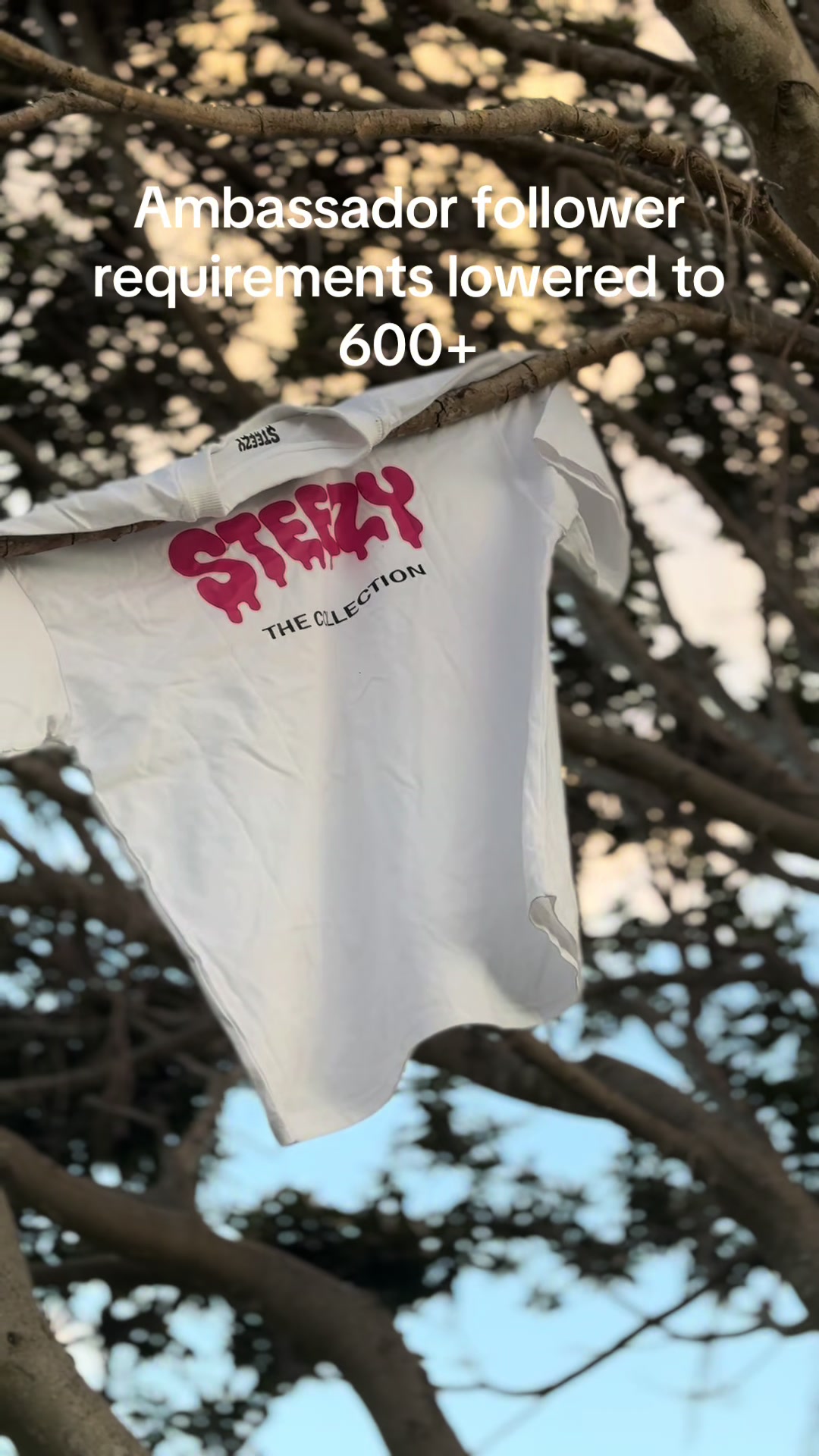 @The Steezy Collection