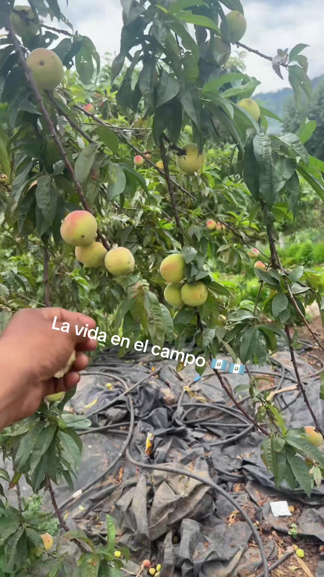 @Edwin Escobar🥷