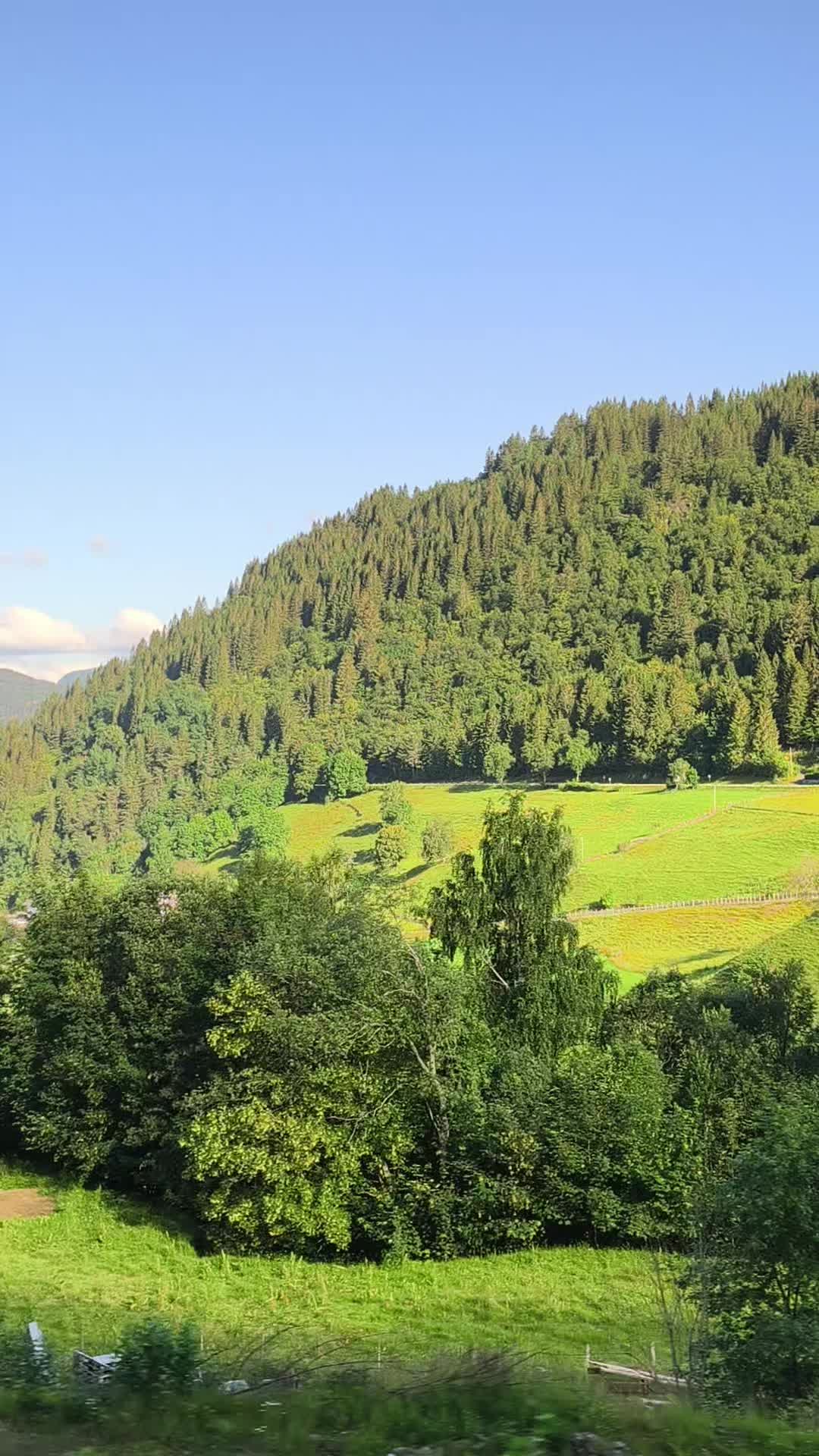 @Massimo 🇮🇹