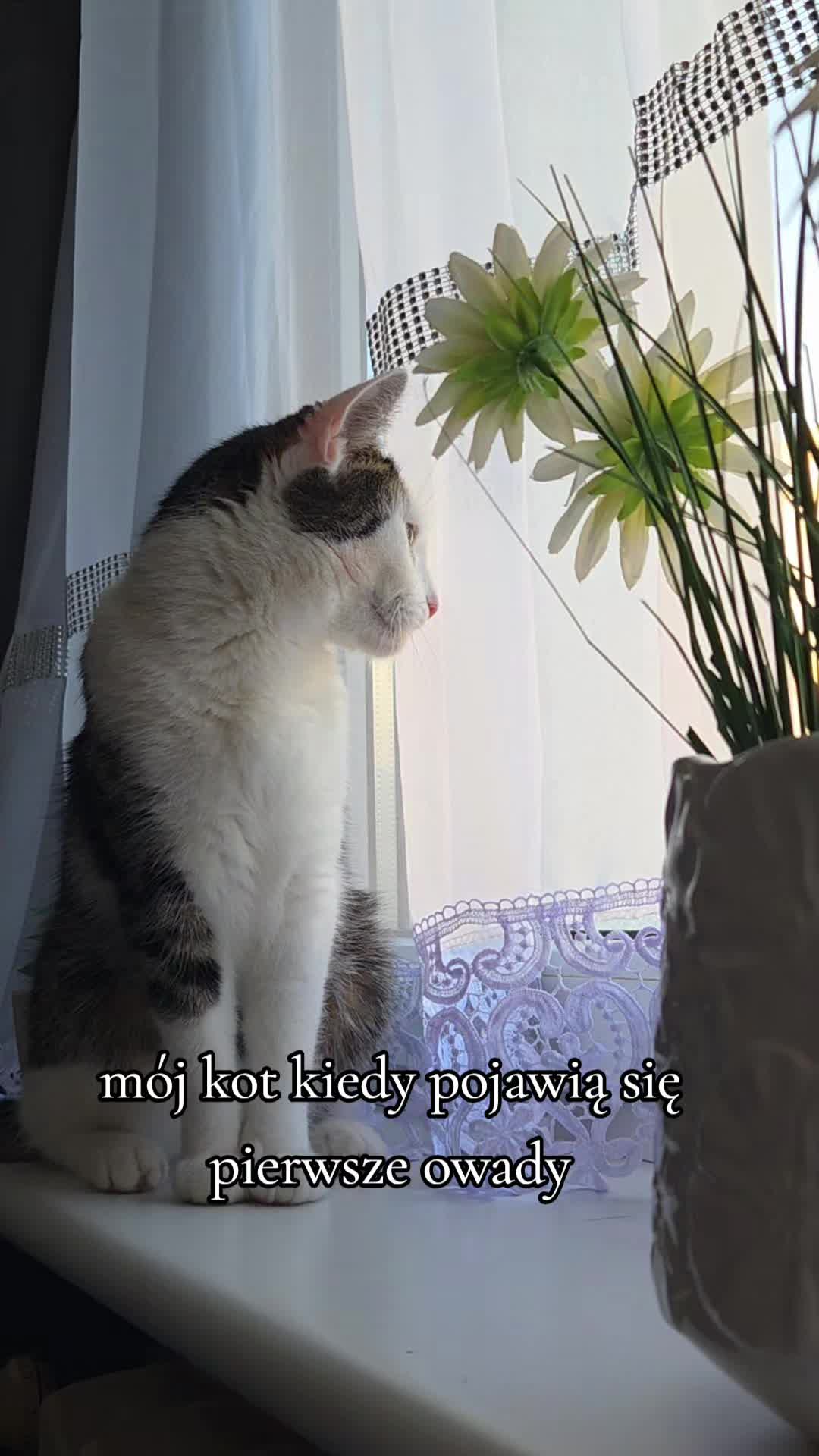 @ᴛʀᴀꜰᴀʟᴏᴠᴀ