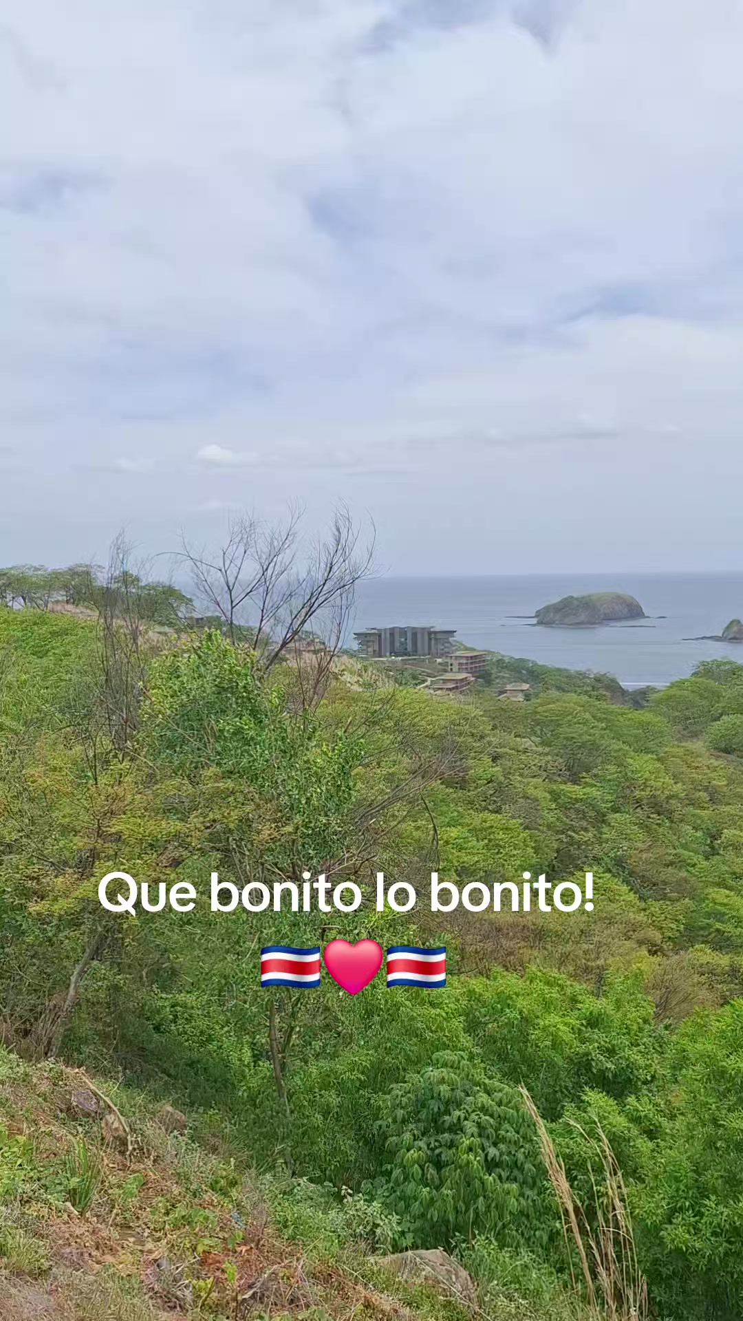 @simplemente Jonis