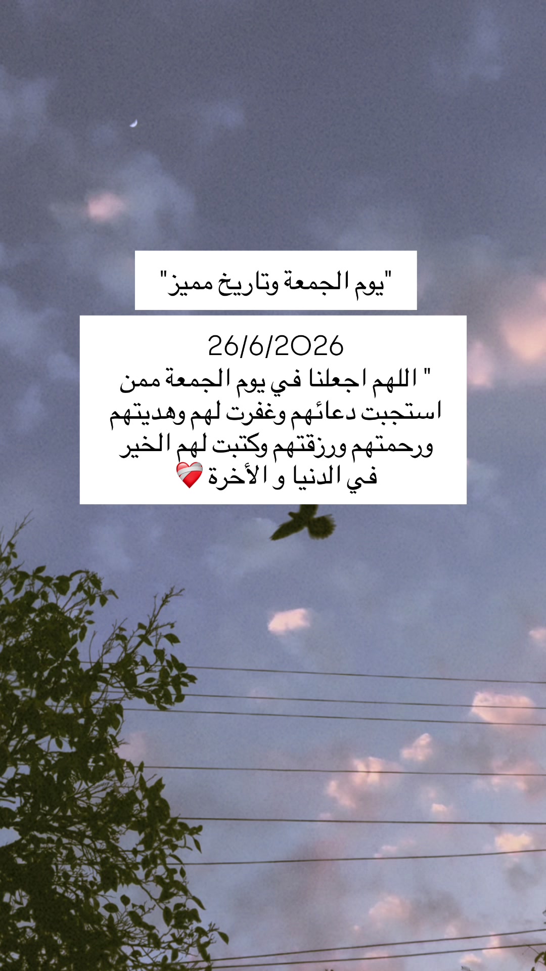 @Nosha-Muayad⚖️🦋