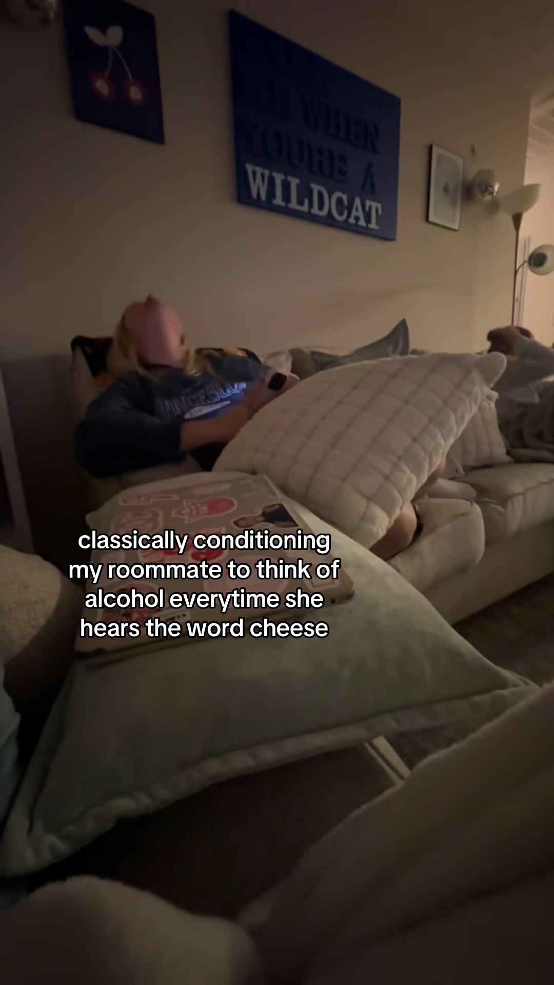 @dani