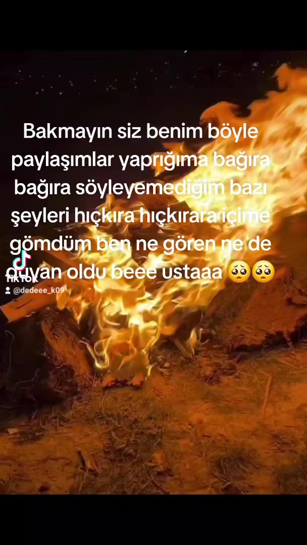 @⚜️wolf usta ⚜️