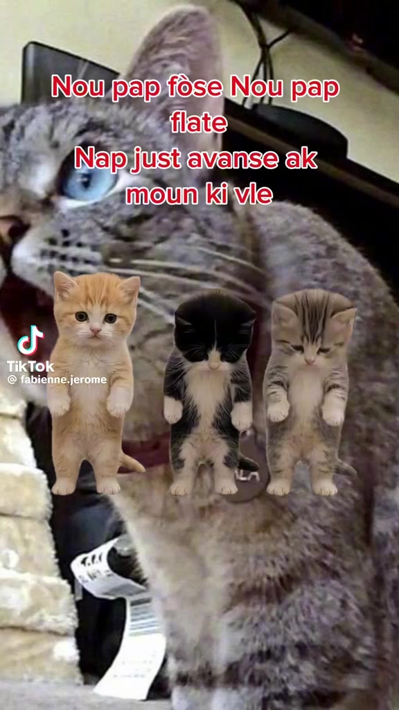 @Mileydy marsan