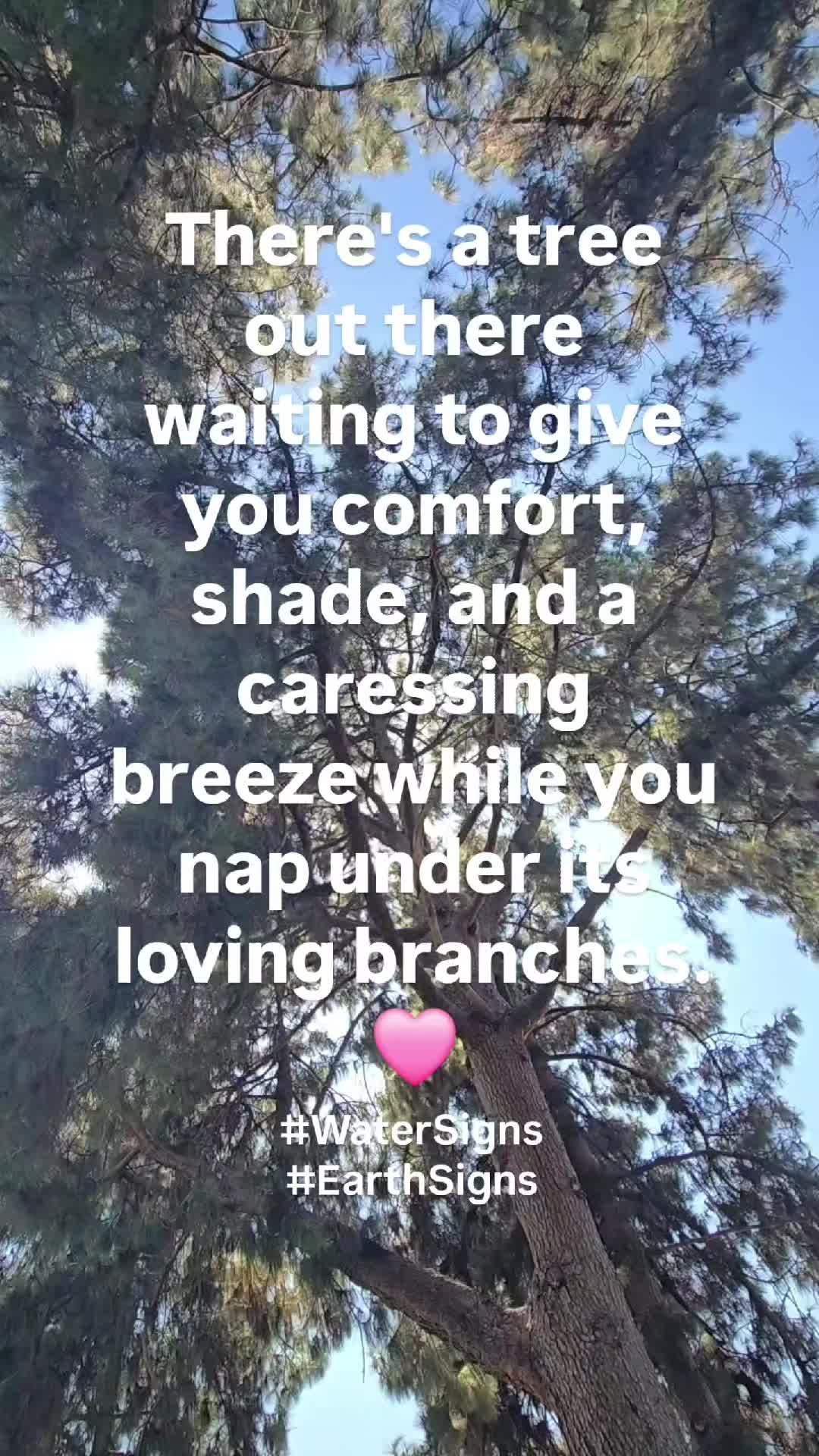 @Astrology, Elena V. 🧿🏳️&zwj;🌈