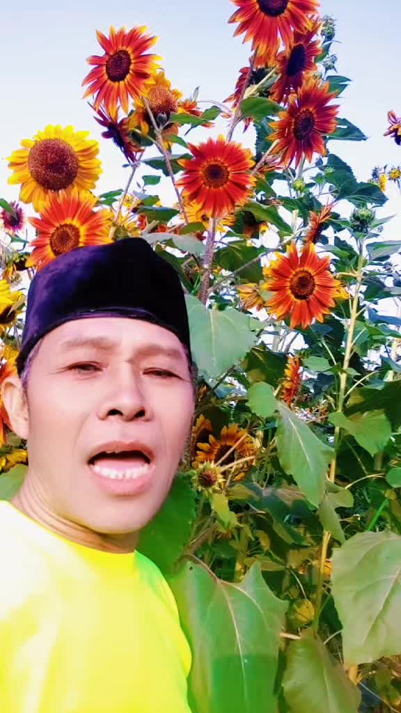 @Badut salamun