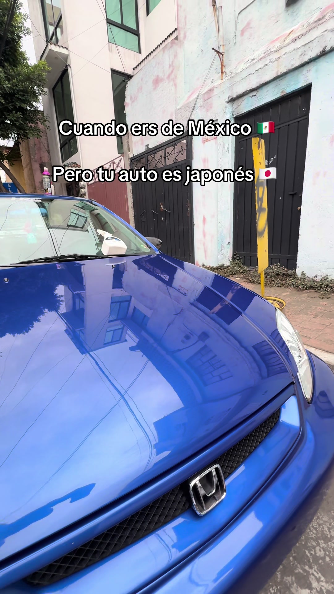 @Rulo 🚙